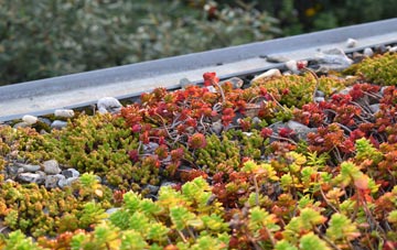 the cost of Mayfield green roof installation